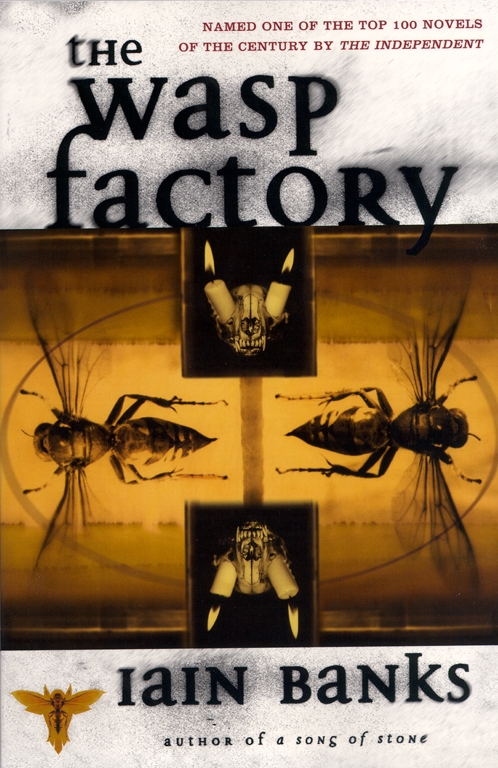 The Wasp Factory: Iain Banks. A creepy cult horror novel with surrealist vibes about a young person growing up on an isolated island.